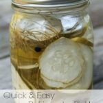 Quick & Easy Refrigerator Pickles