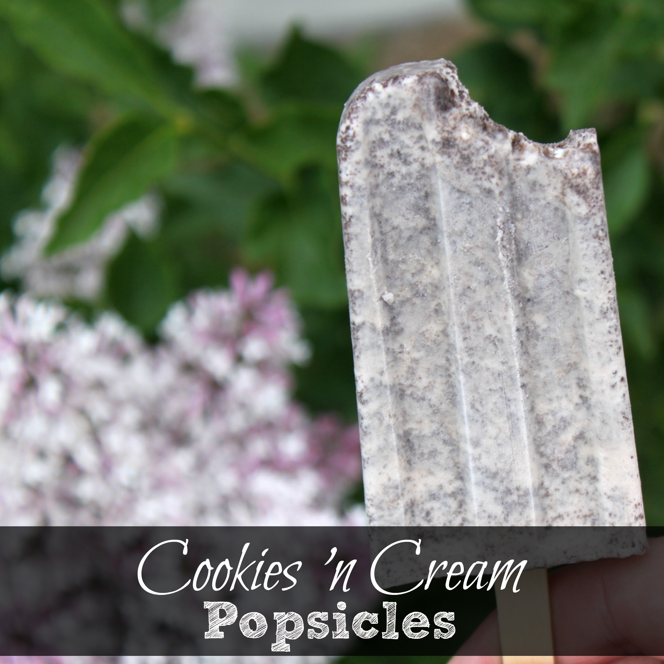 Cookies 'N Cream Popsicle Recipe