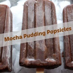 Mocha Pudding Popsicles