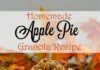 Homemade Apple Pie Granola Recipe - Taste the warm and hearty flavors of fall with this homemade granola recipe that is full of warm apple pie spices and chunks of dried apples!