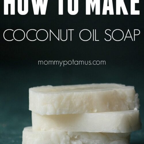 Coconut Oil Bar Soap