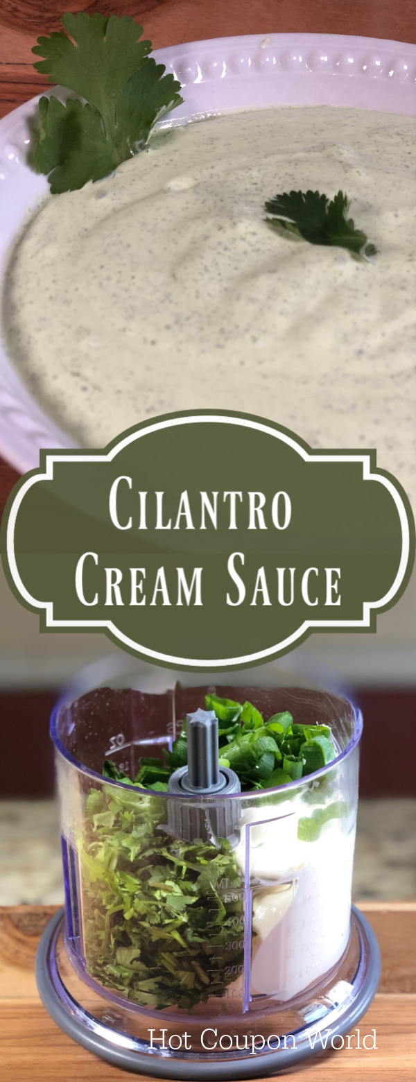 Cilantro Cream Sauce Recipe