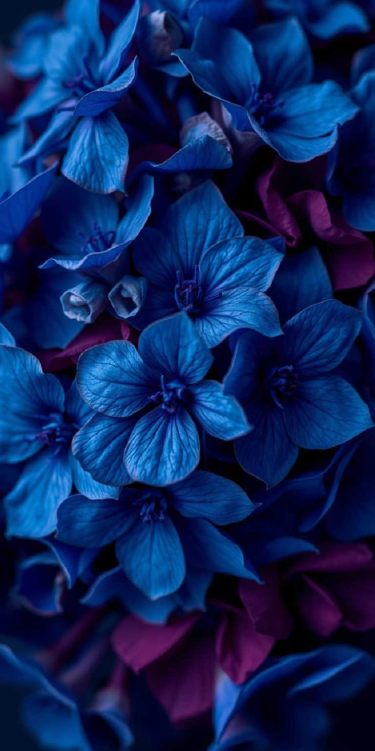 Blue wallpaper phone backgrounds