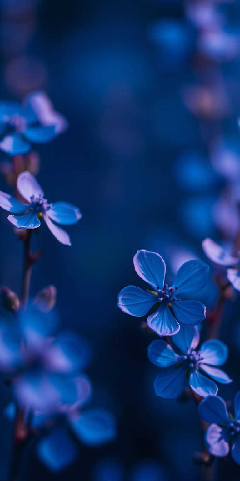 Blue wallpaper phone backgrounds