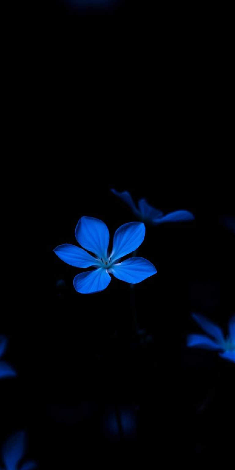 Blue wallpaper phone backgrounds