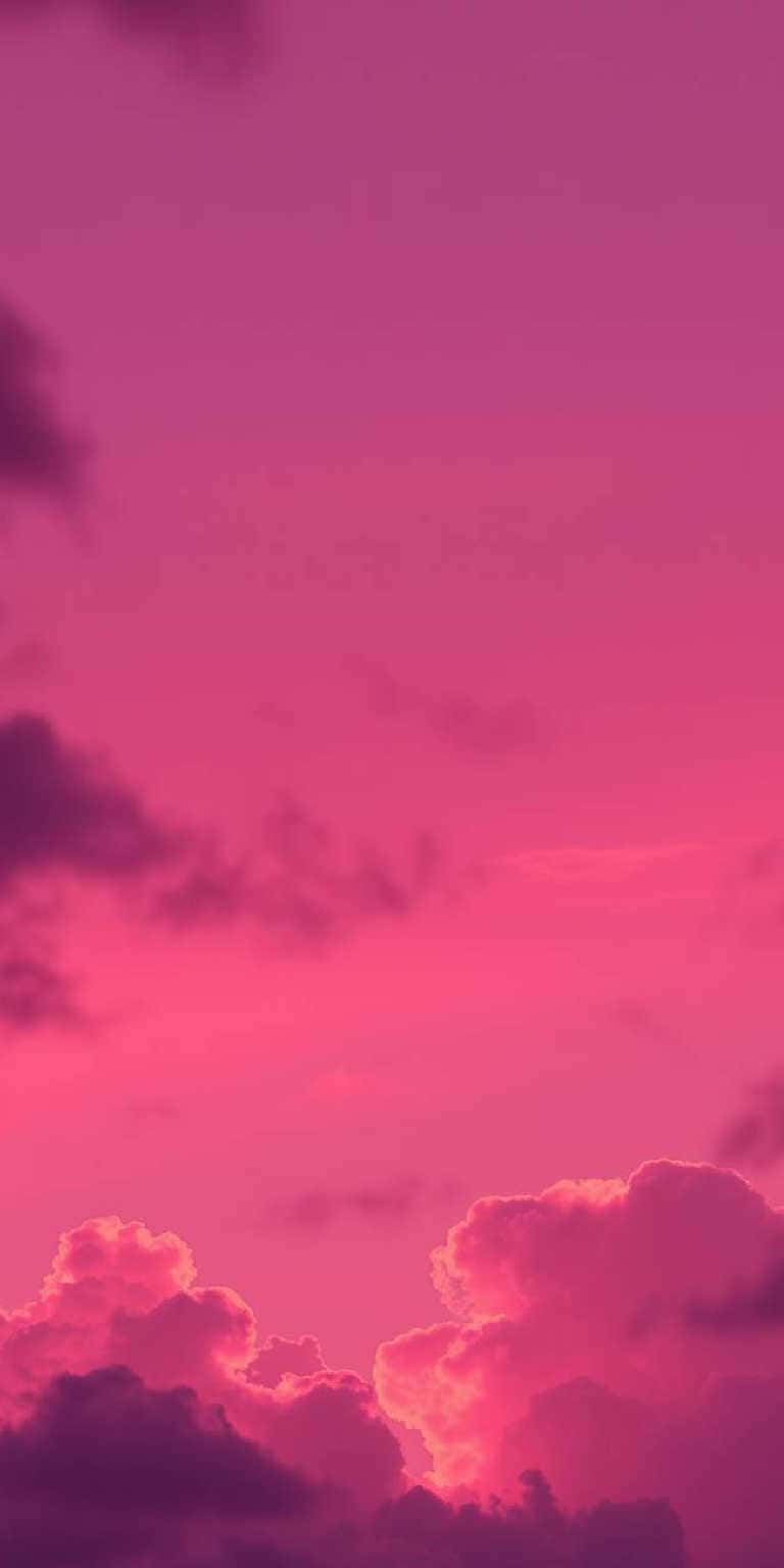 Pink Wallpaper Backgrounds for phones