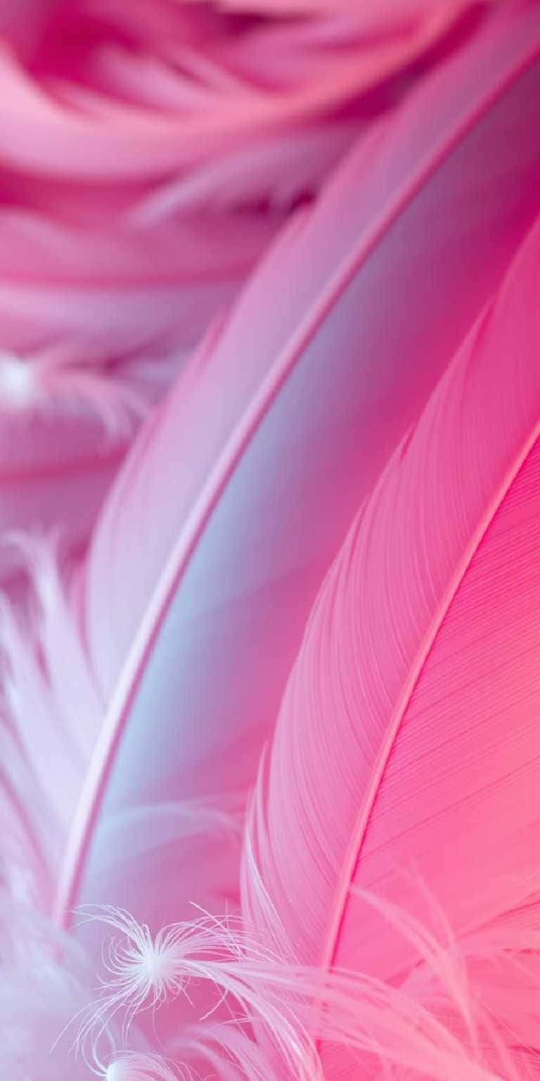 Pink Wallpaper Backgrounds for phones