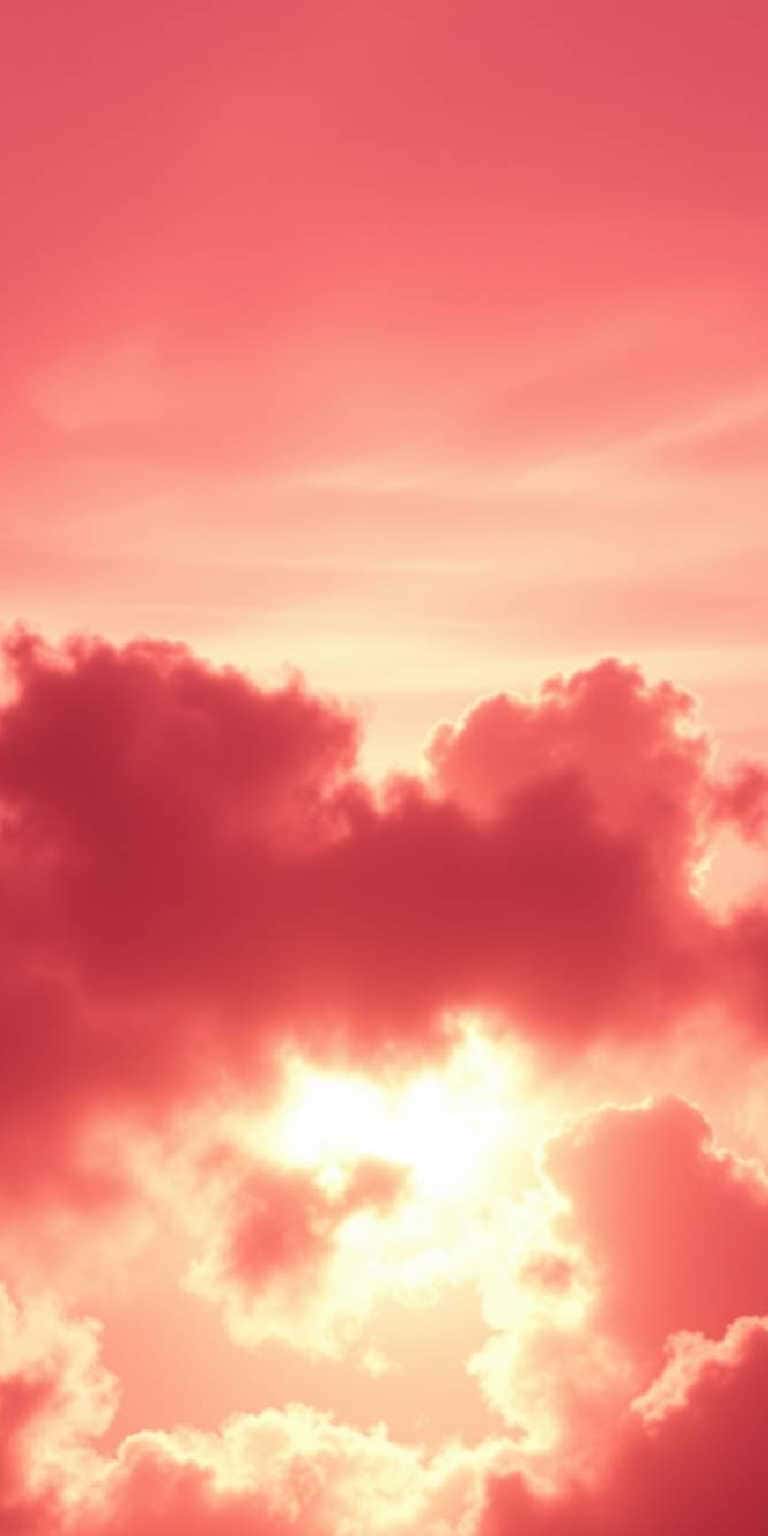 Pink Wallpaper Backgrounds for phones