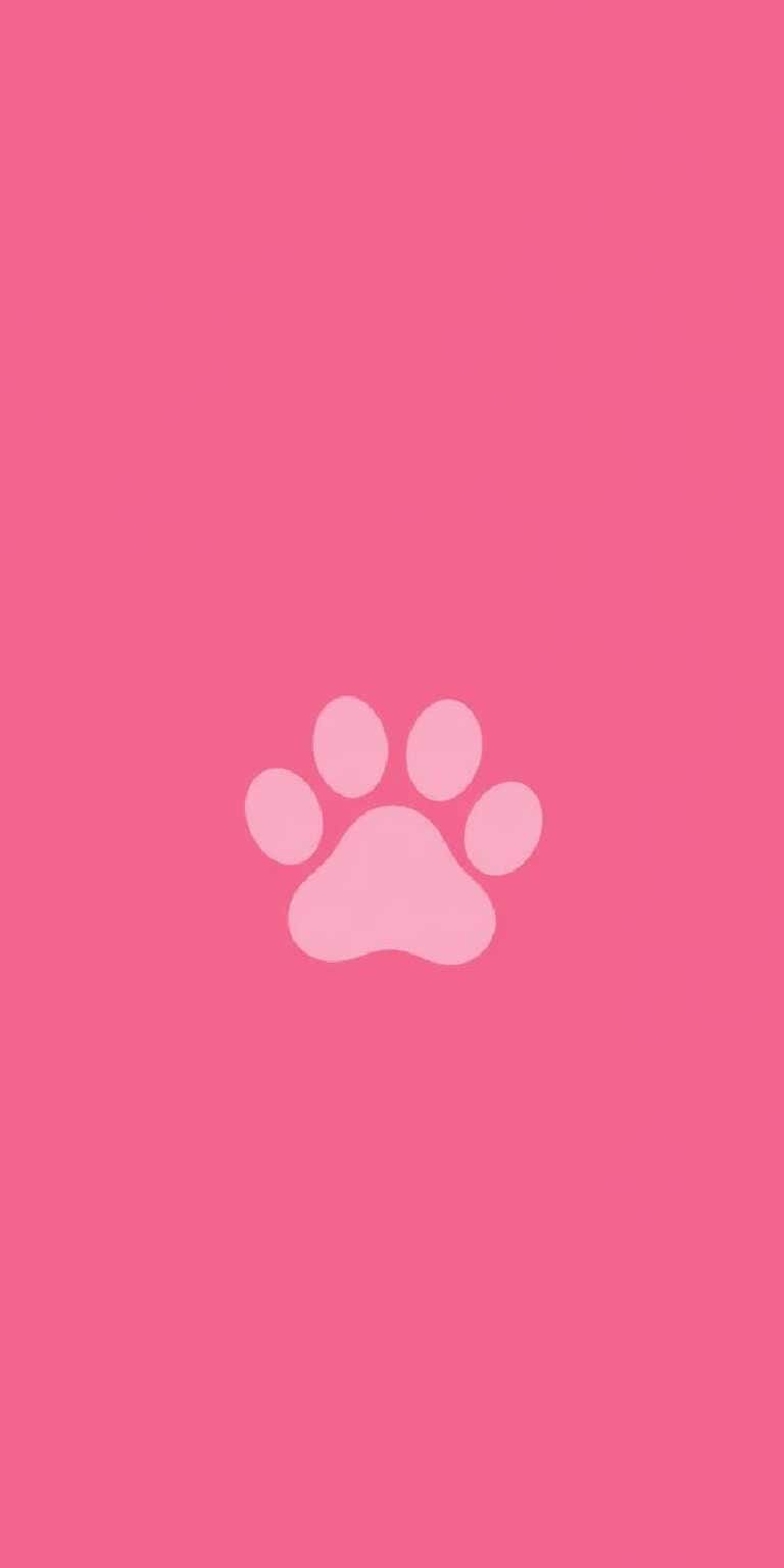 Pink Wallpaper Backgrounds for phones