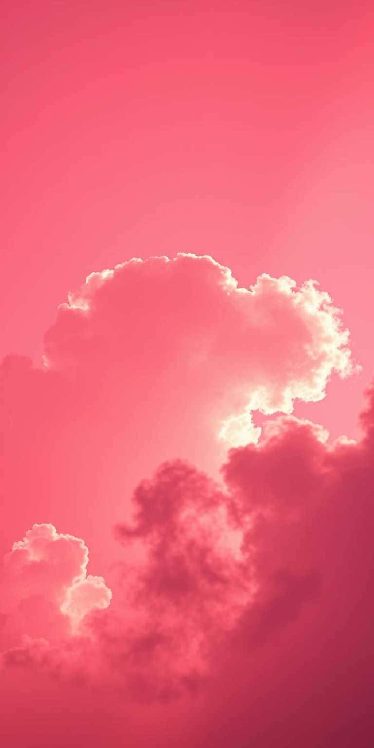 Pink Wallpaper Backgrounds for phones
