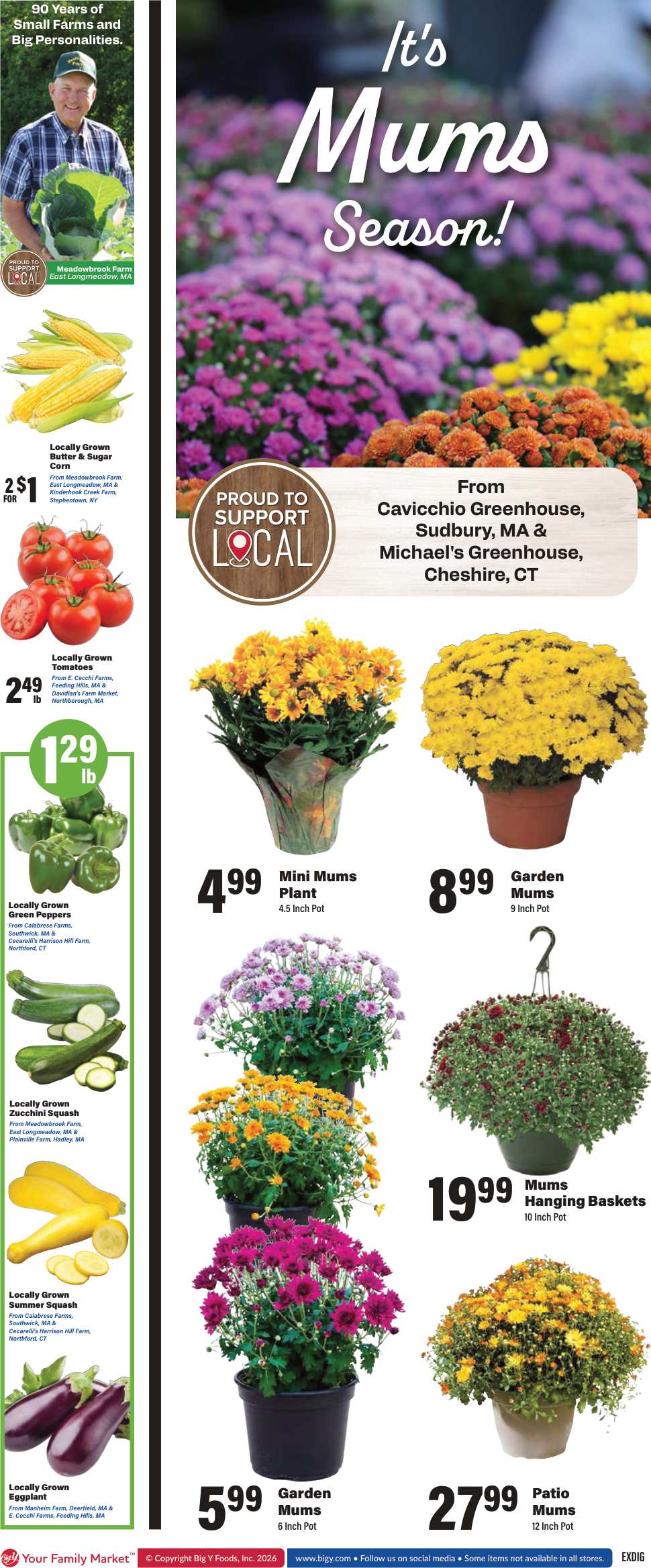 BigY_weekly_ad_082026_02