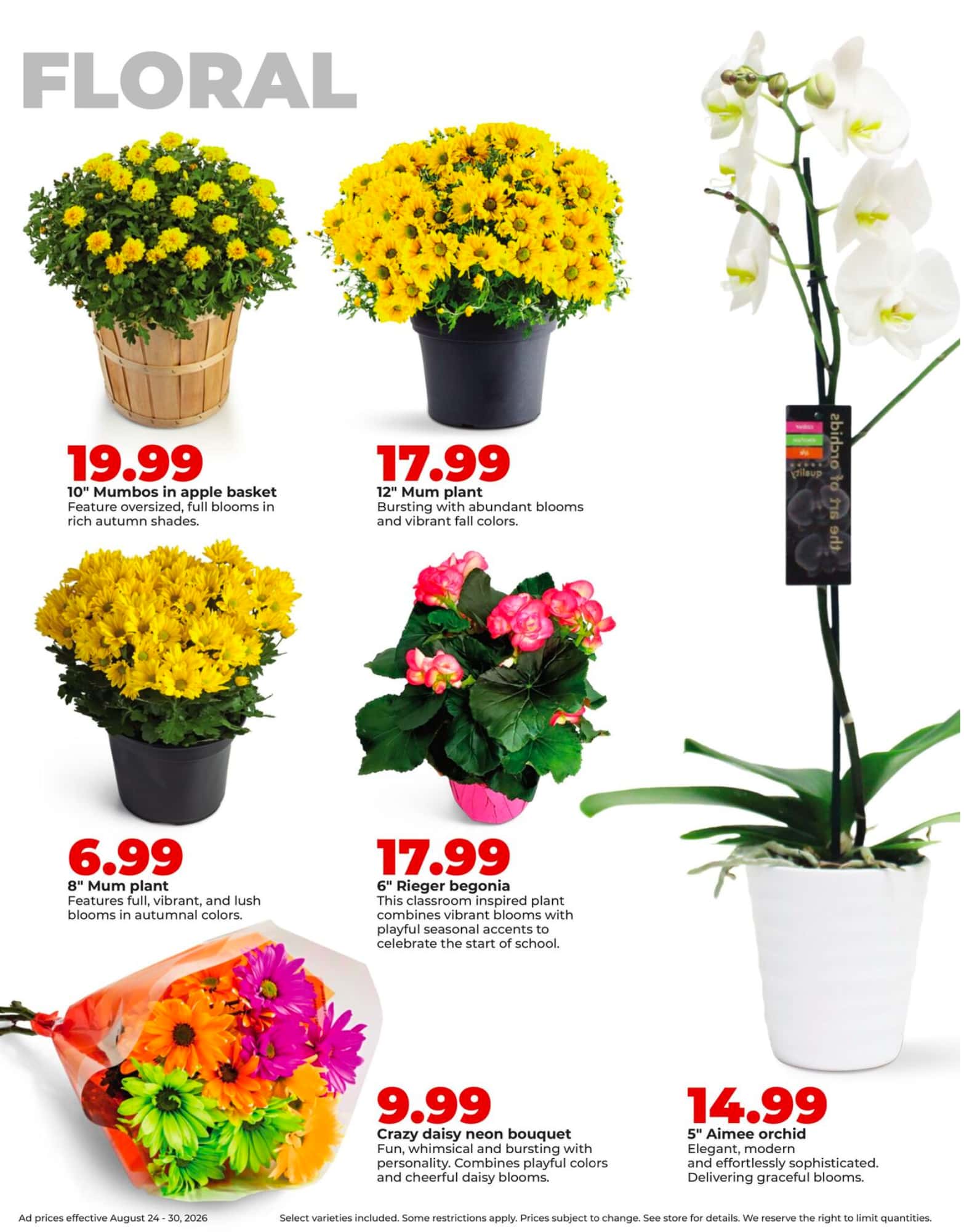 HyVee_weekly_ad_082426_30