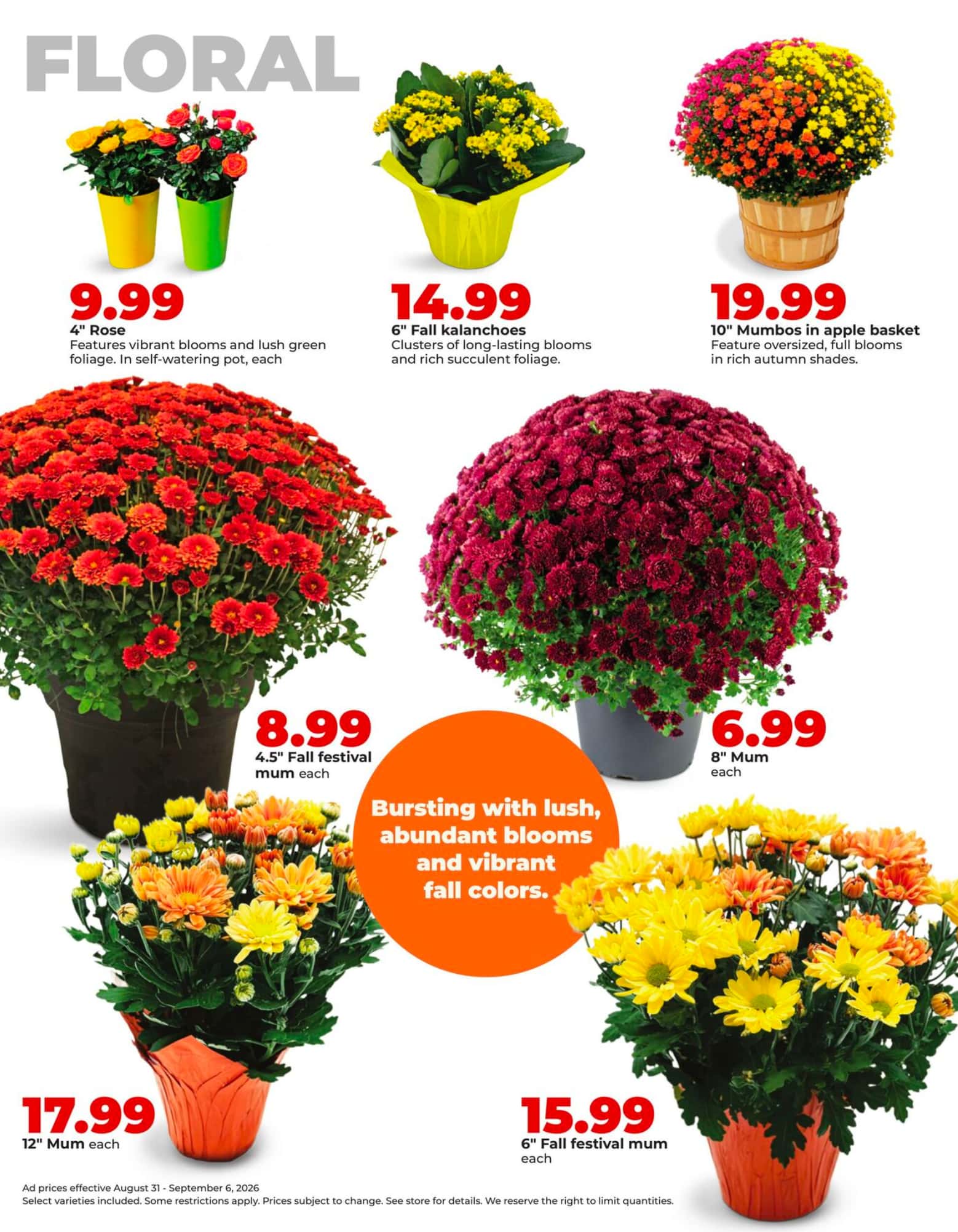 HyVee_weekly_ad_083126_38