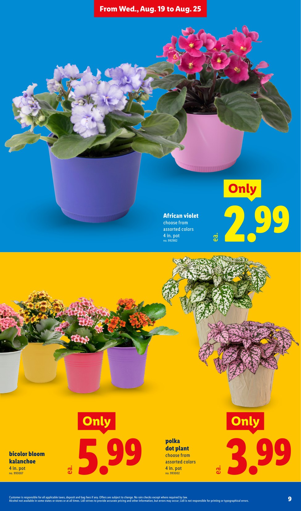 Lidl_weekly_ad_081926_09