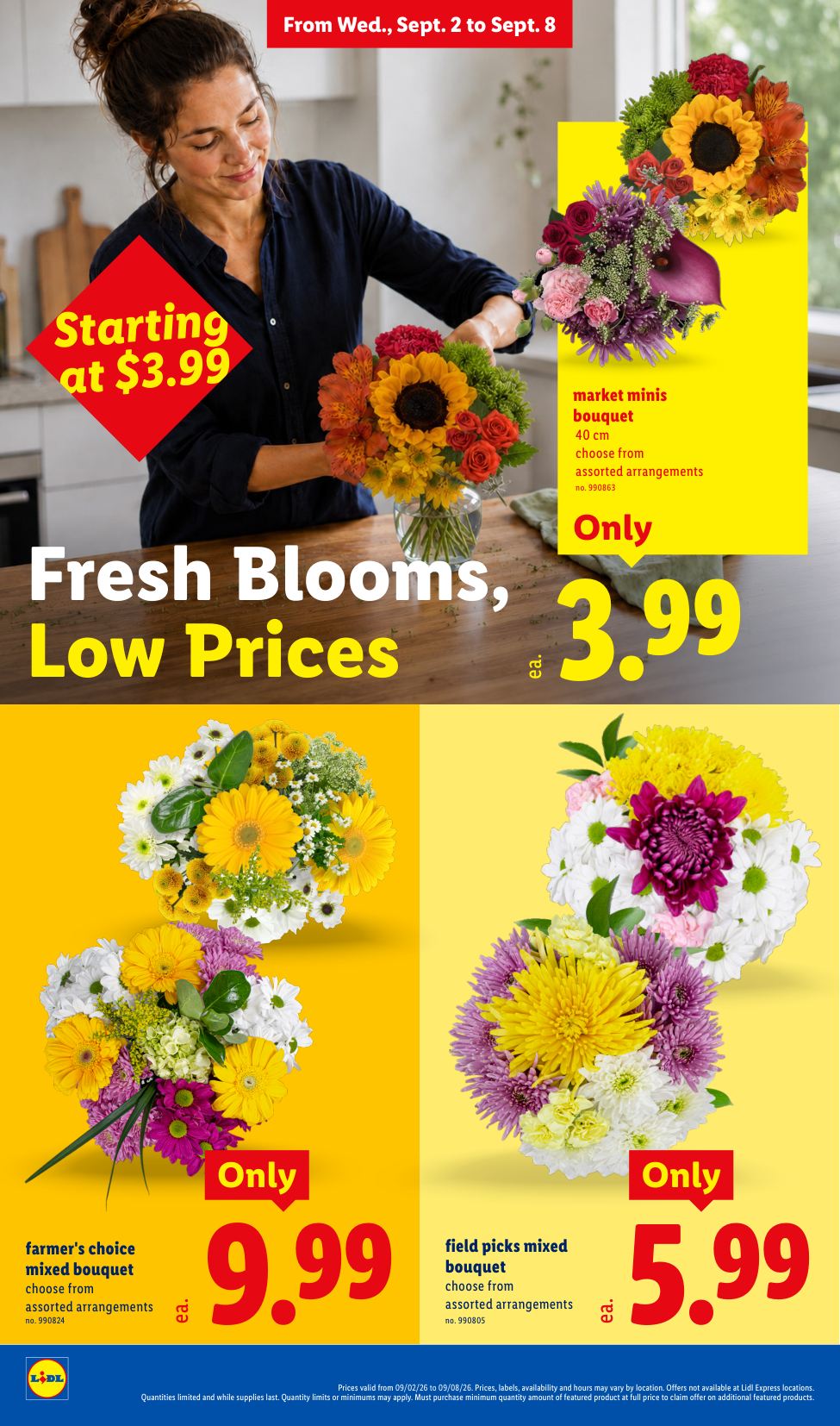 Lidl_weekly_ad_090226_24