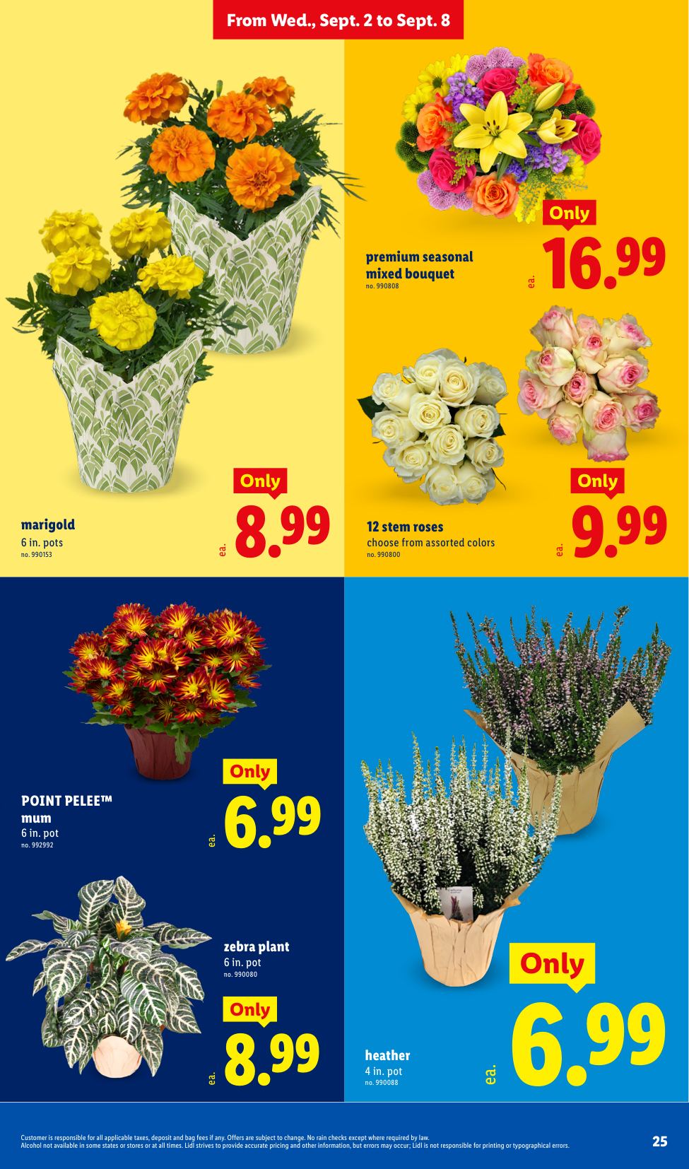 Lidl_weekly_ad_090226_25