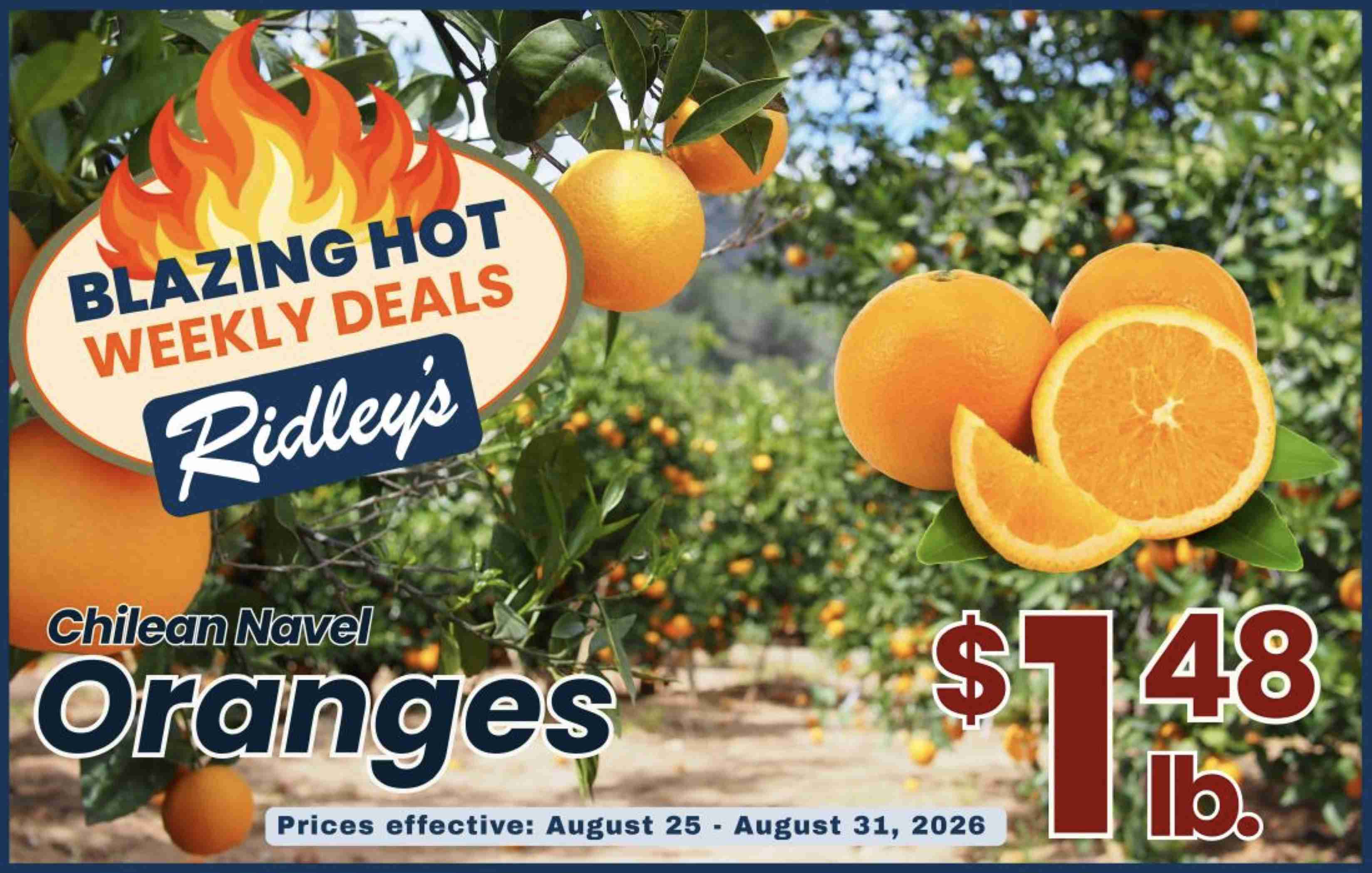Ridleys_weekly_ad_082526_11