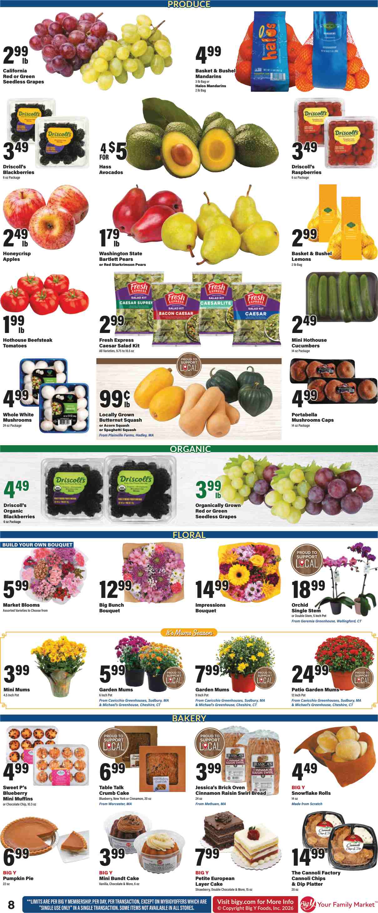 BigY_weekly_ad_091726_09