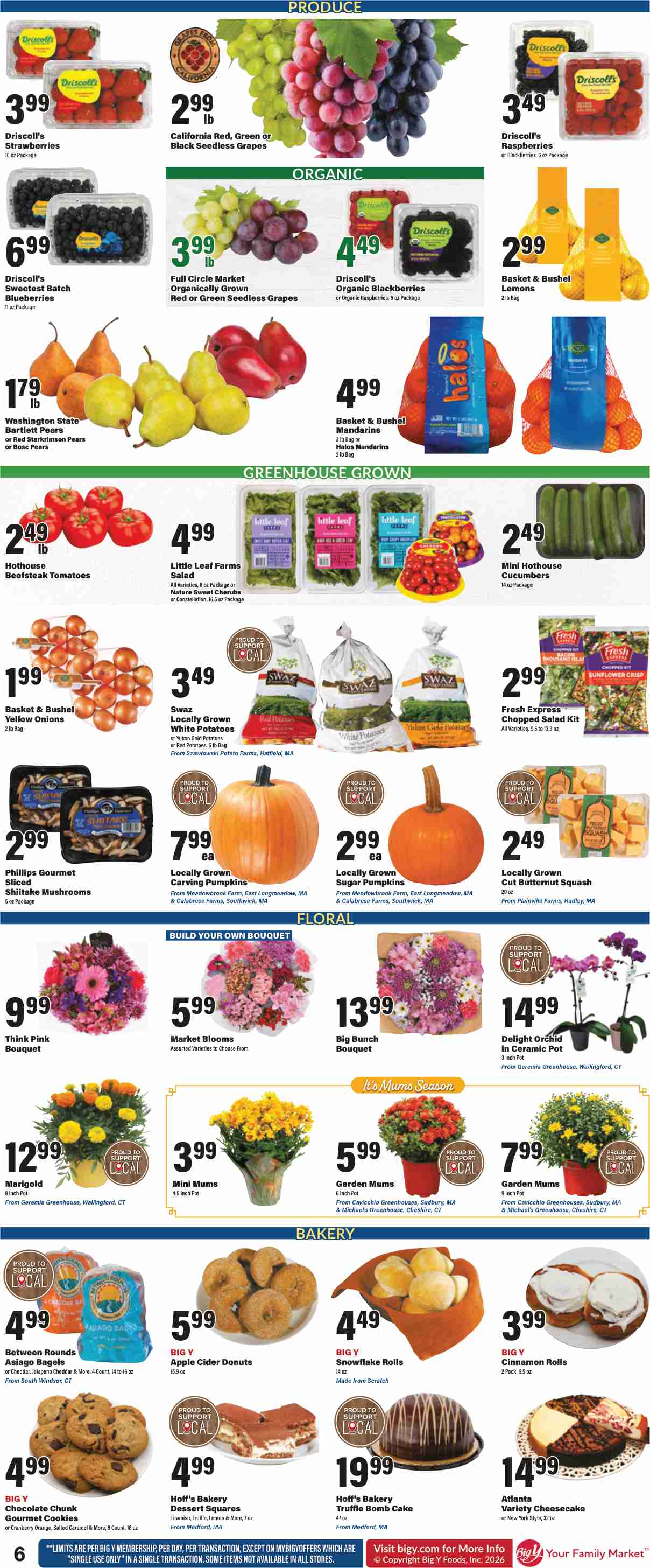 BigY_weekly_ad_100126_07