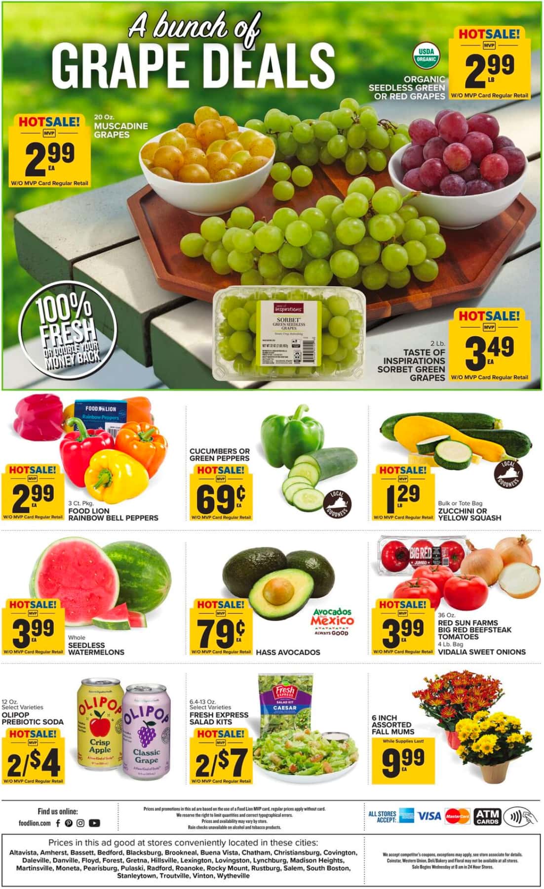 FoodLion_weekly_ad_090226_02
