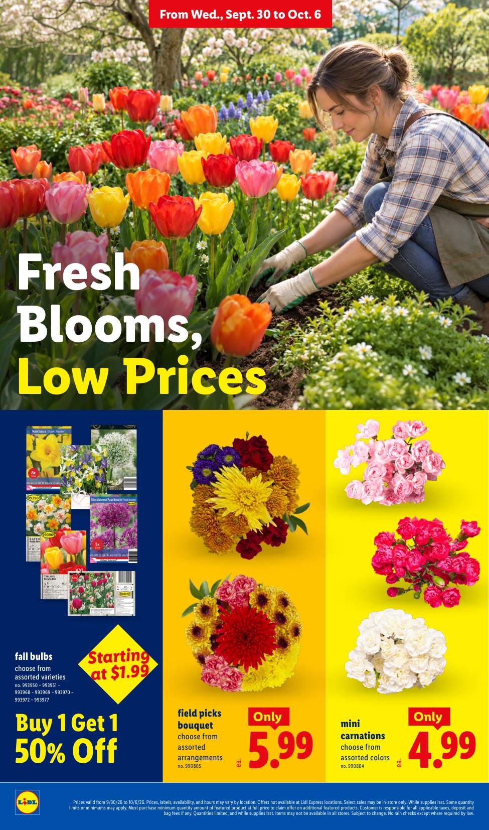 Lidl_weekly_ad_093026_24