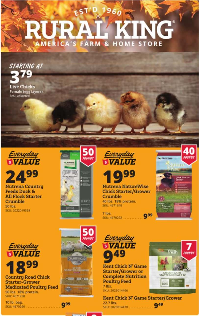 RuralKing_weekly_ad_091726_03