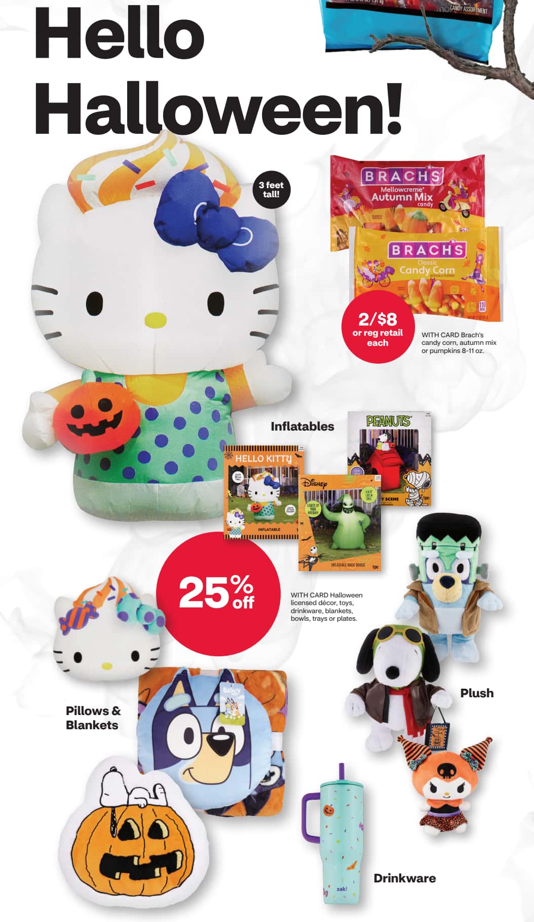 CVS_weekly_ad_101126_05