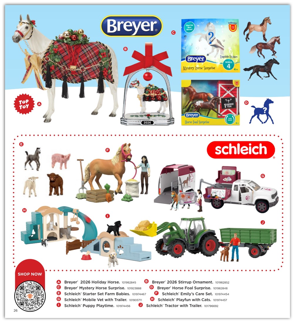 FleetFarm_weekly_ad_101126_26