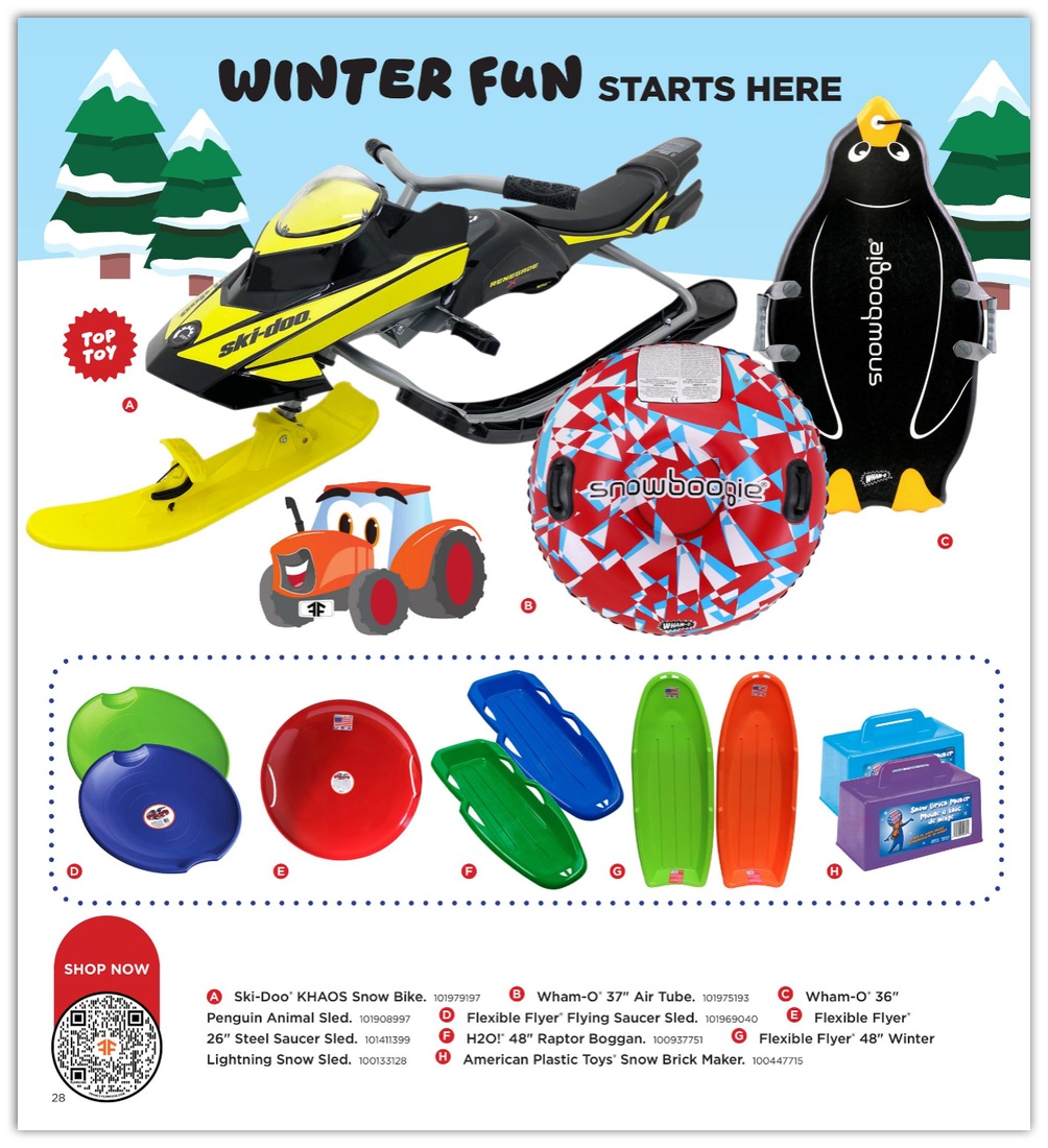 FleetFarm_weekly_ad_101126_28