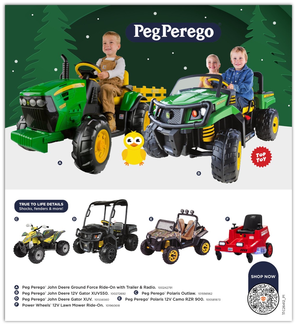 FleetFarm_weekly_ad_101126_31