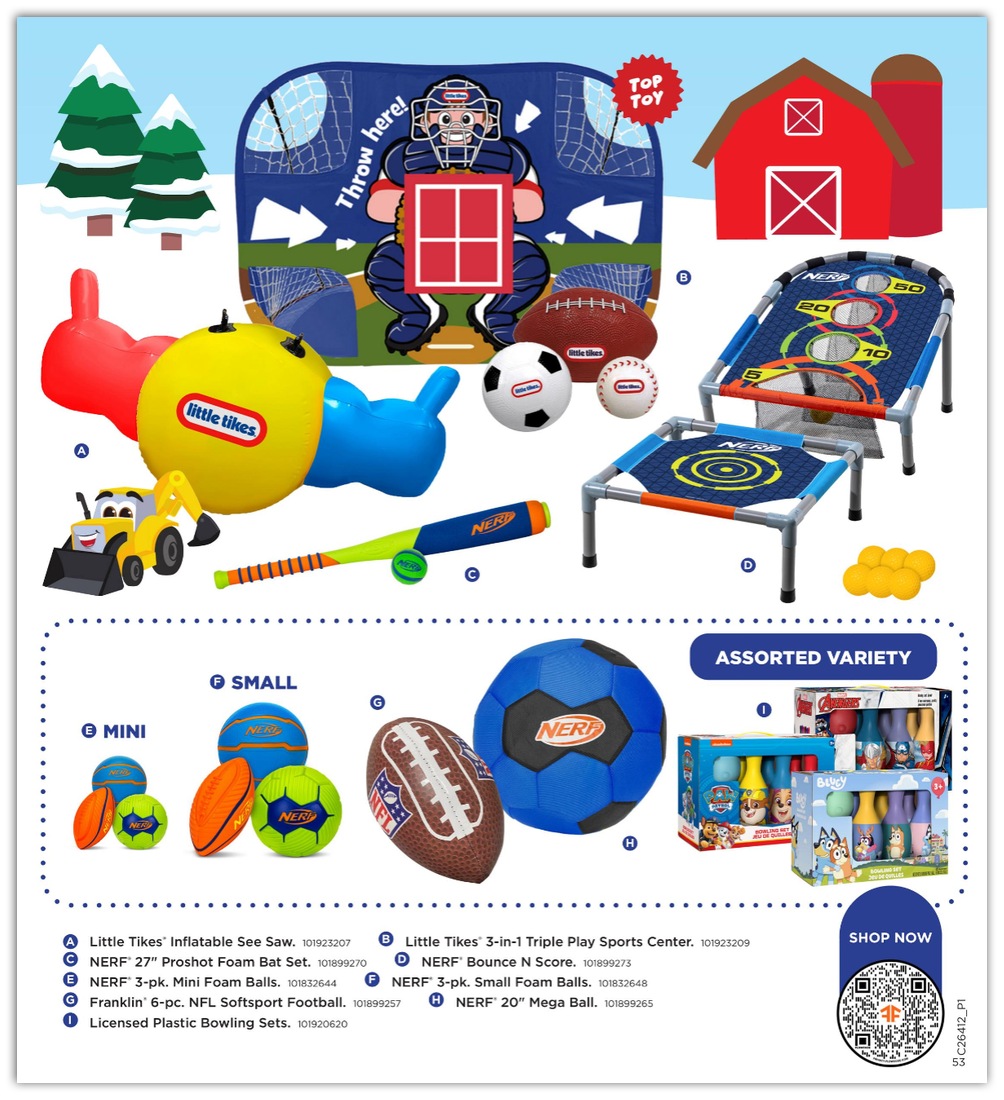 FleetFarm_weekly_ad_101126_53