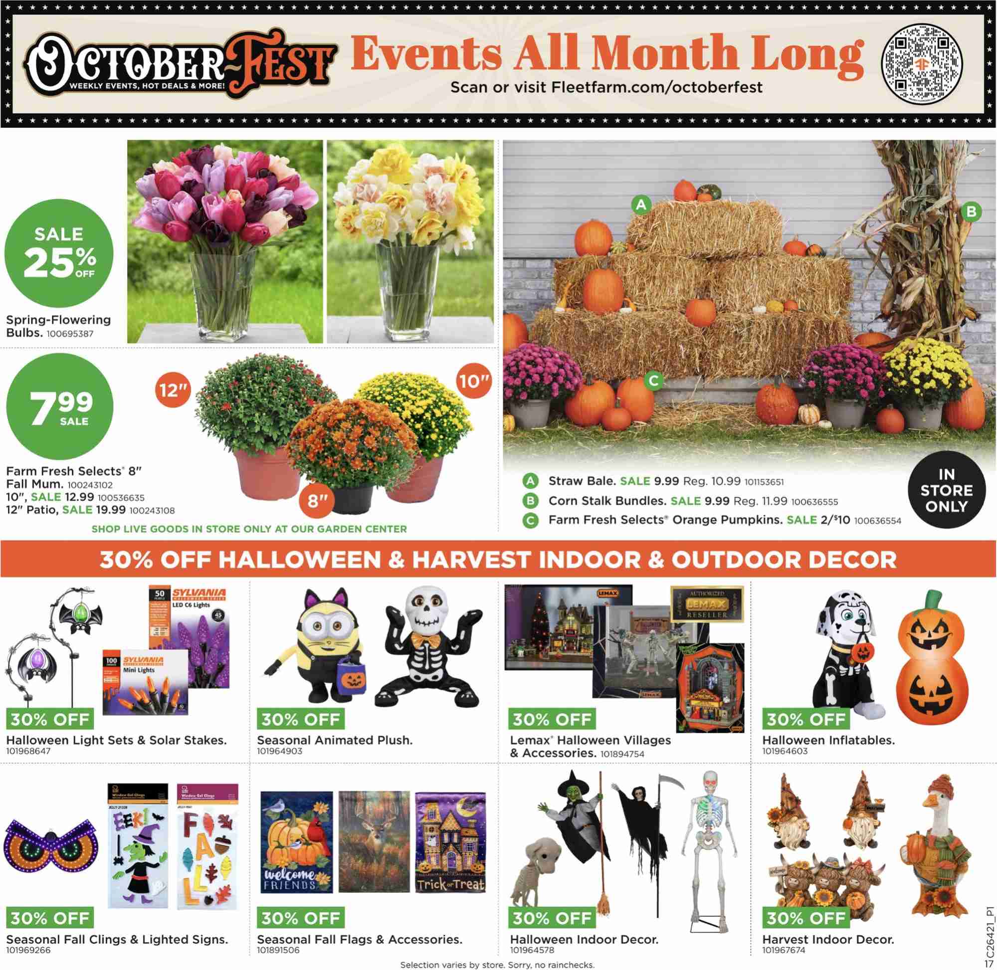 FleetFarm_weekly_ad_101226_17