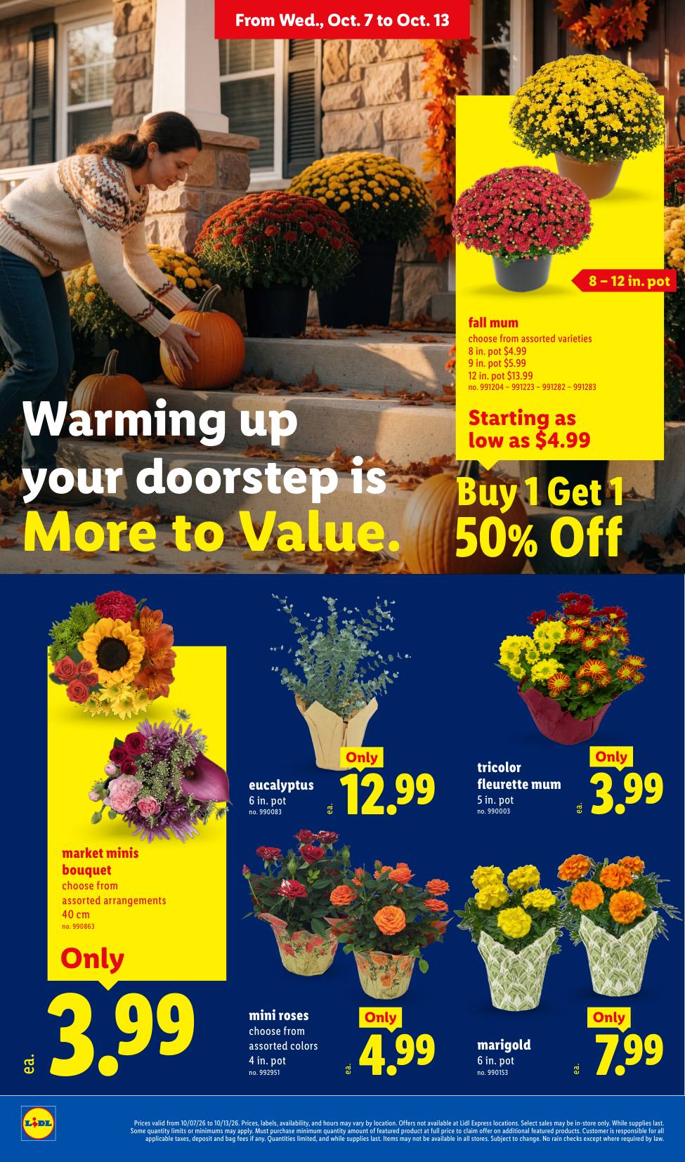 Lidl_weekly_ad_100726_22