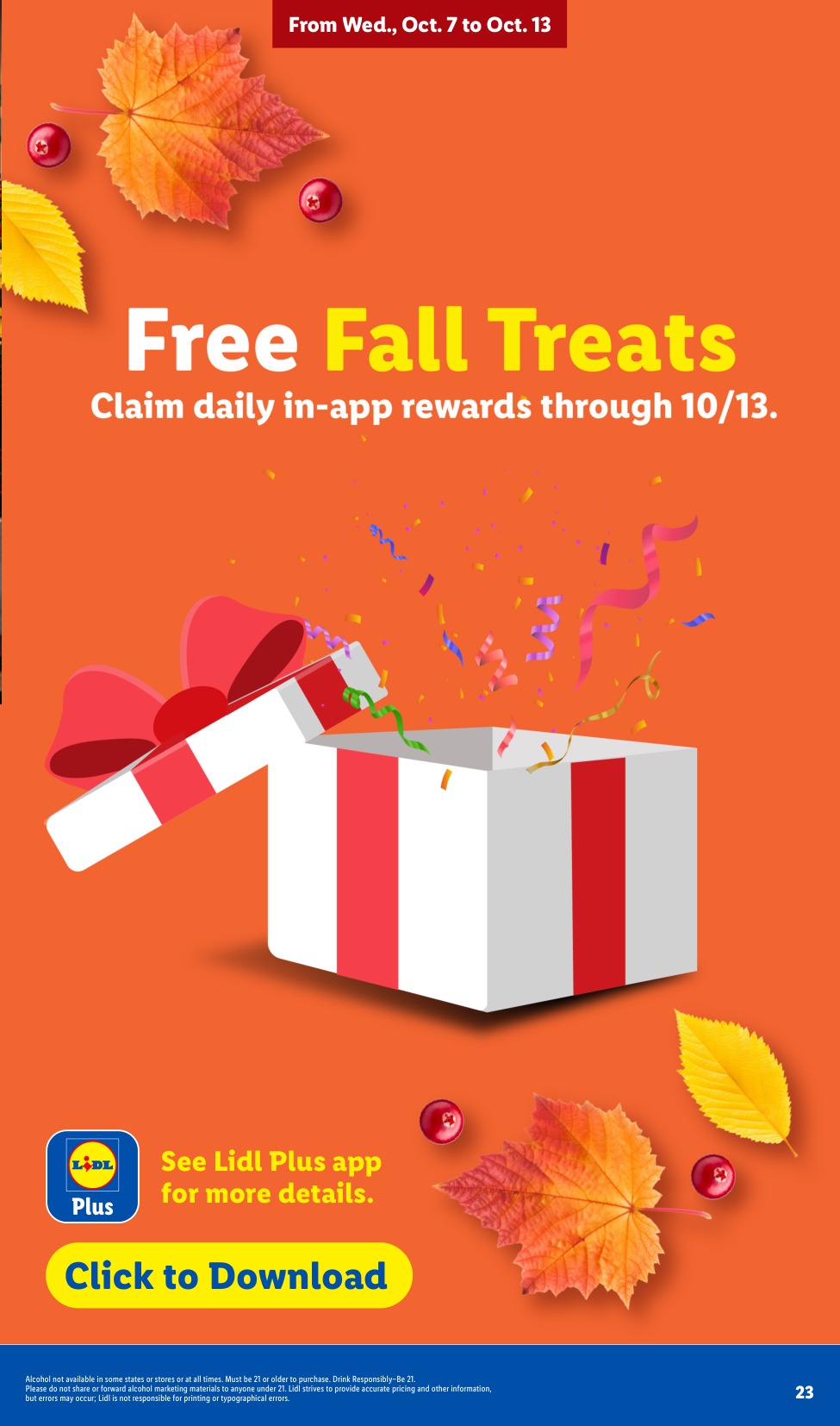 Lidl_weekly_ad_100726_23