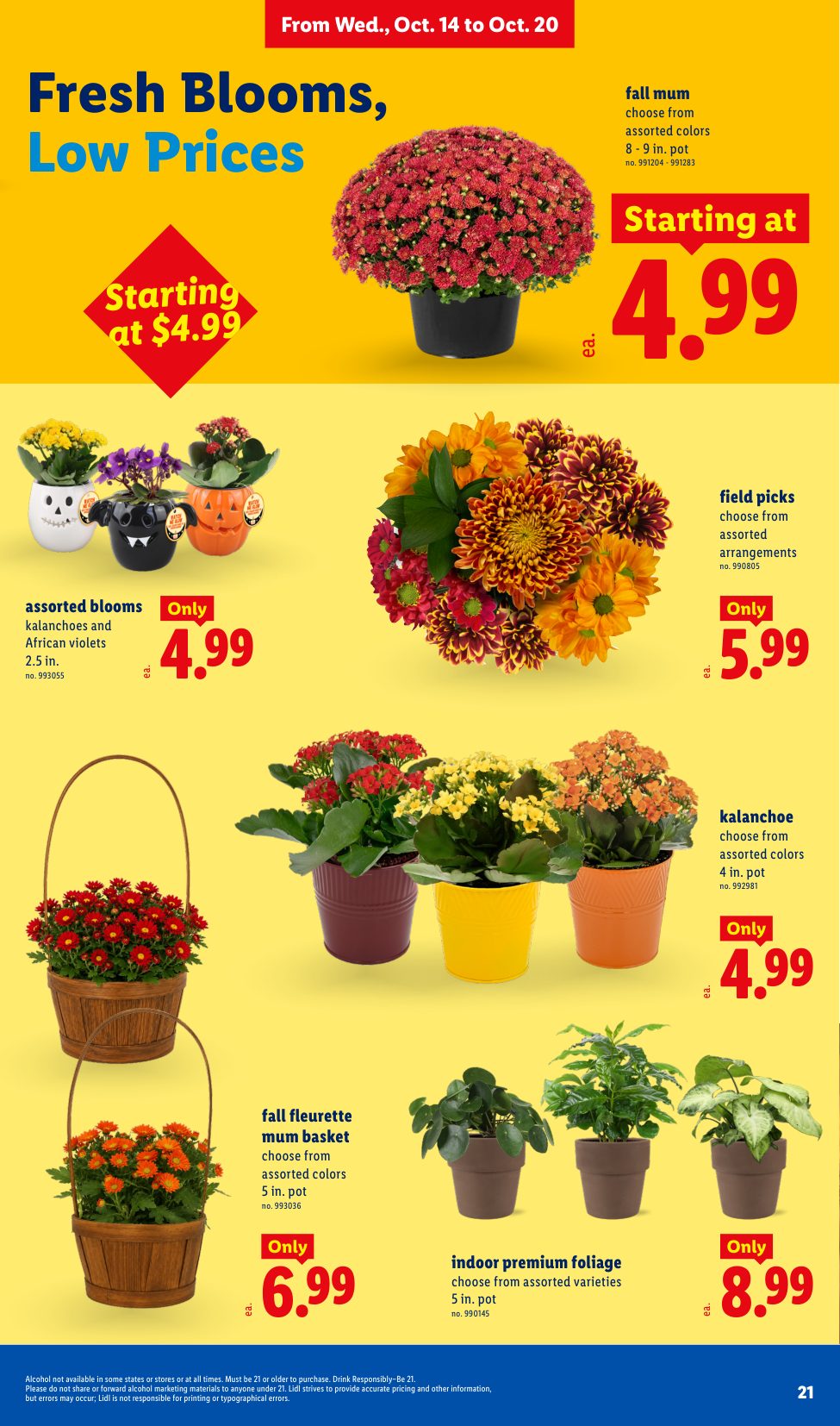 Lidl_weekly_ad_101426_21