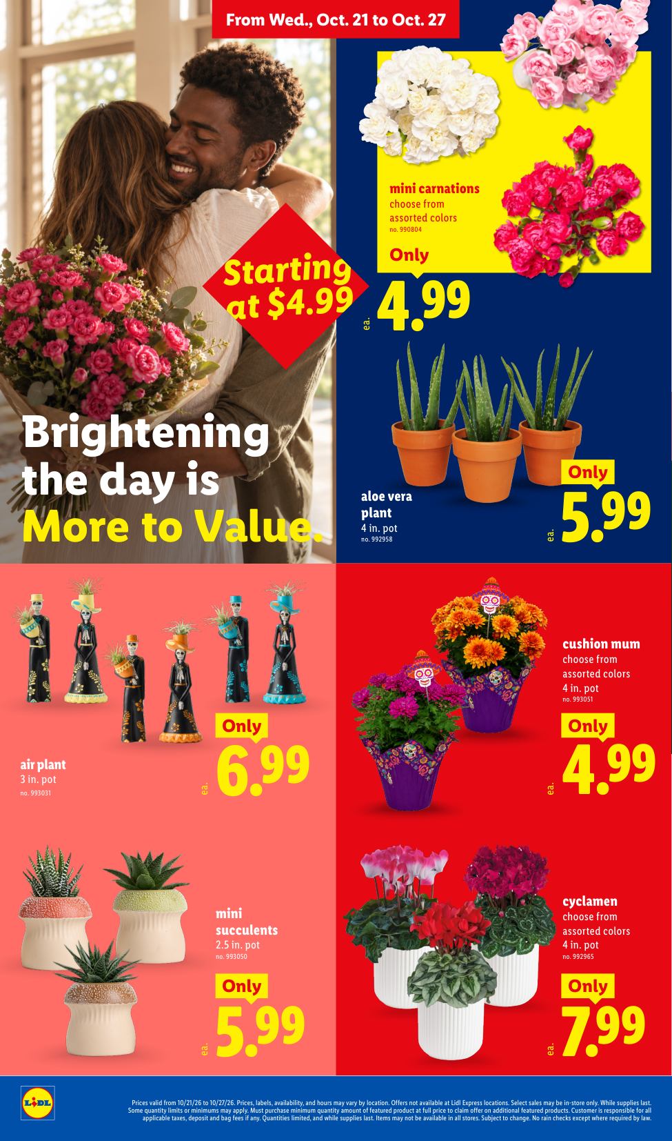 Lidl_weekly_ad_102126_18