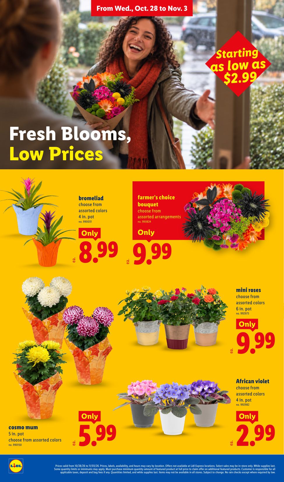 Lidl_weekly_ad_102826_18