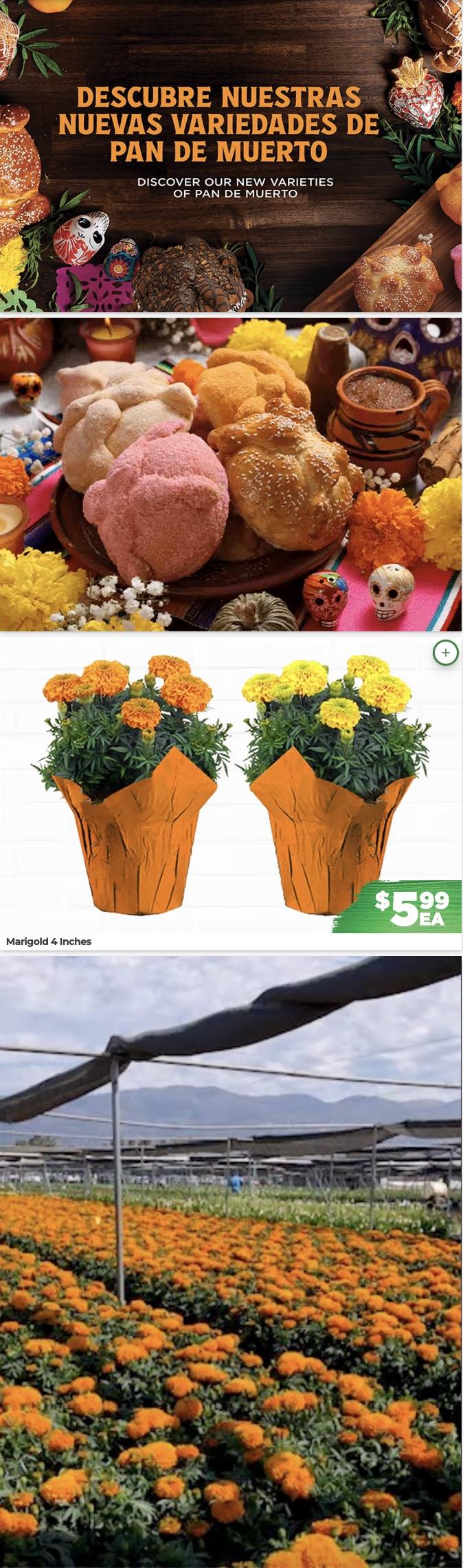 NorthgateMarket_weekly_ad_100726_02