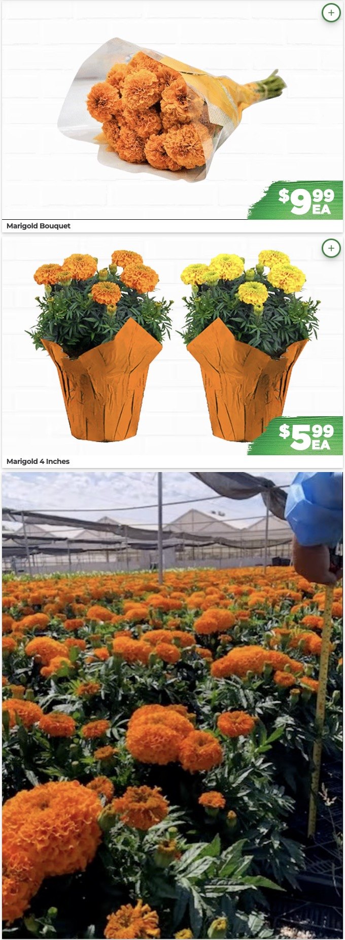 NorthgateMarket_weekly_ad_102126_03