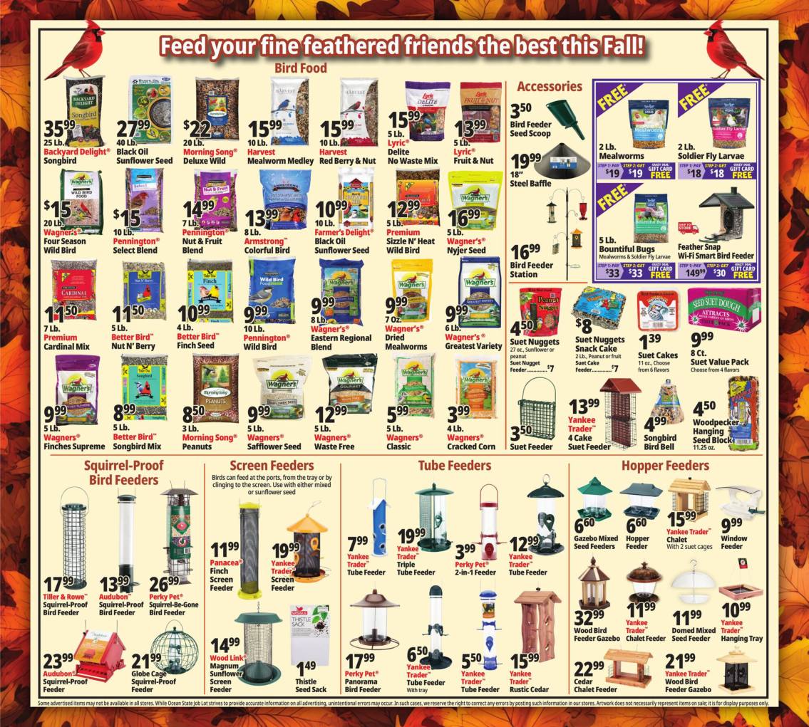 OceanStateJobLot_weekly_ad_100826_17
