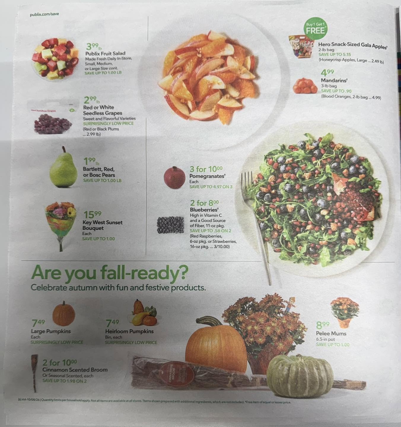Publix_weekly_ad_100726_17